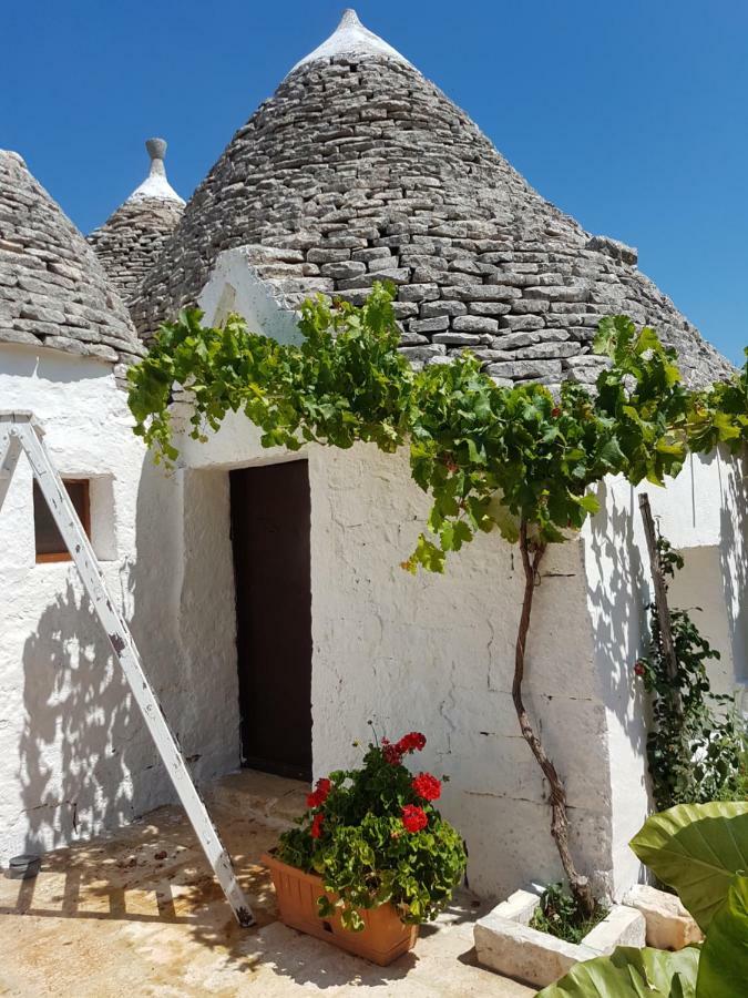 I Trulli Di Nonno Giovanni Alberobello Exteriér fotografie